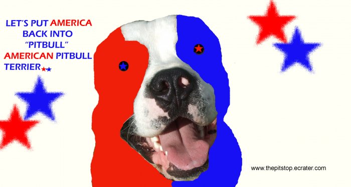 Pitbull T-Shirt "american"