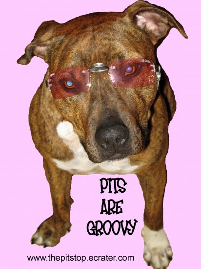 Pitbull T-Shirt "pits are groovy"