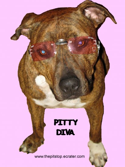 Pitbull T-Shirt "pitty diva"