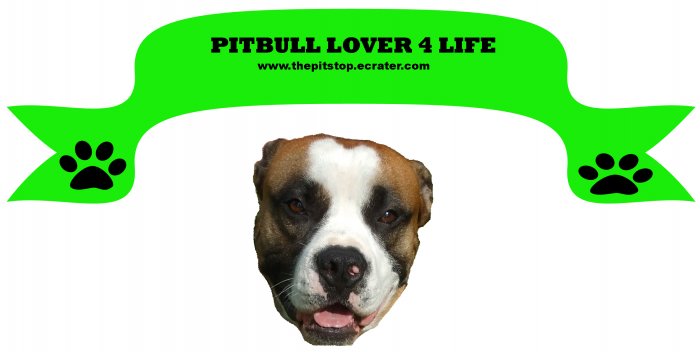 pitbull banner t-shirt
