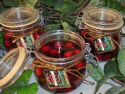 Cranberry1