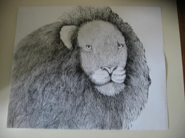 Lion Pen & Ink Original Drawing