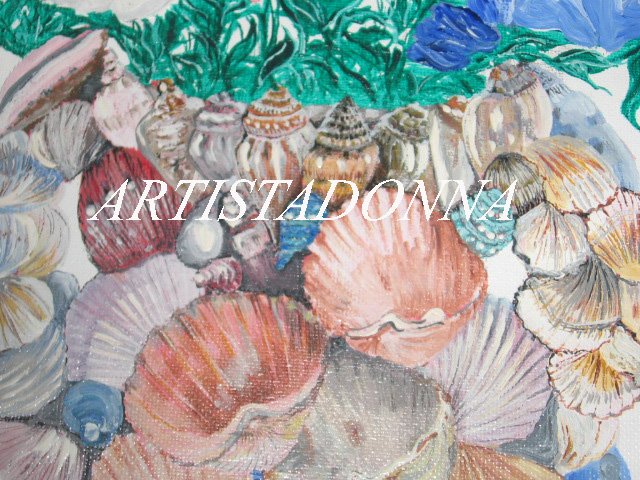 Seashell Desktop Wallpaper