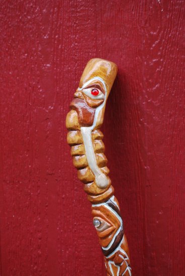 Walking Stick by Joe Rob
