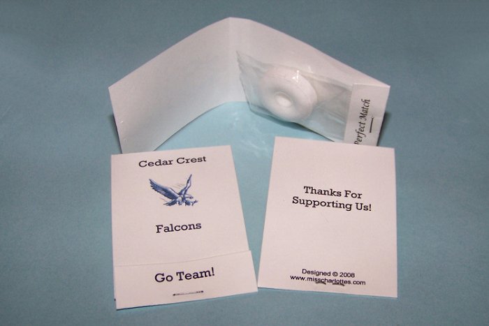 100 Personalized School Spirit Fundraiser Mintbooks Mintbook Favors
