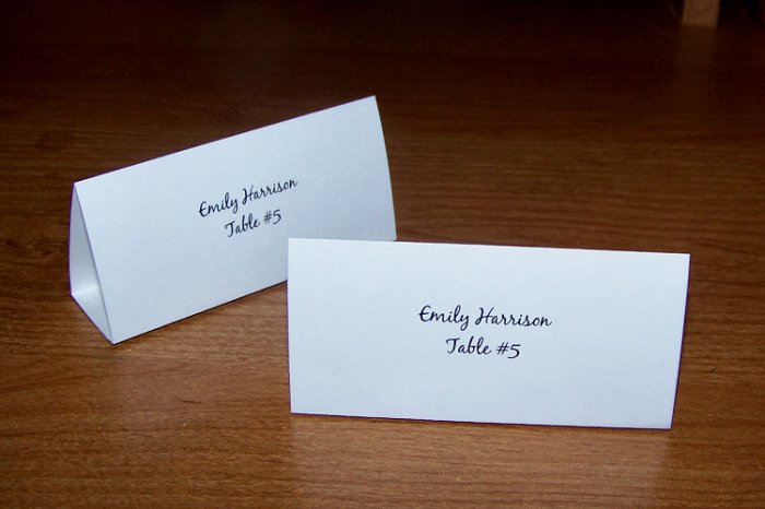 100 Personalized Wedding Tent Style Place Cards Style #1