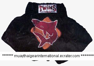 TS078 - Twins Special Muay Thai Shorts