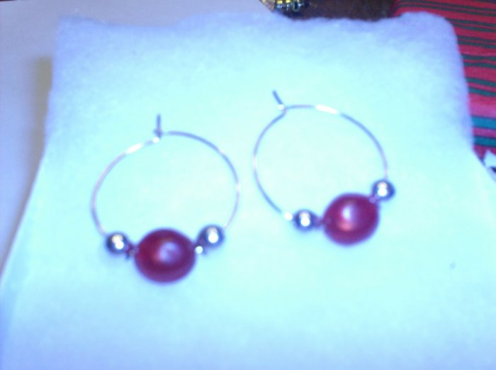 Earring- Silver with red Stones