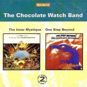Chocolate Watch Band - The Inner Mystique / One Step Beyond Free Shipping