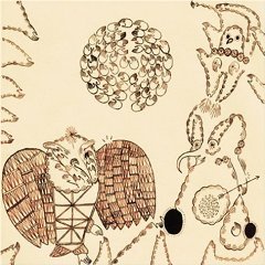 Devendra Banhart Rejoicing In The Hands CD Free Shipping