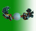 Pet toys051