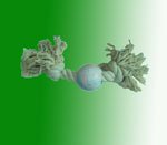 Pet toys52