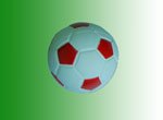 Pet toys062