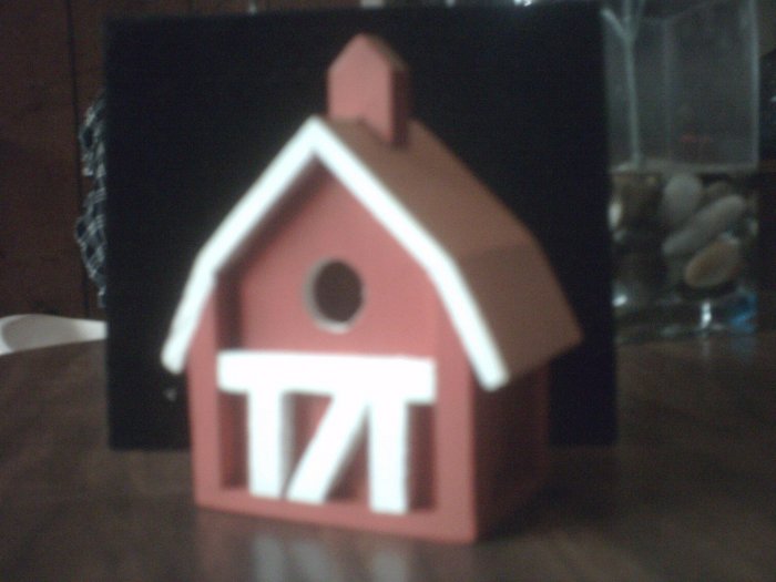 Red Barn Bird House