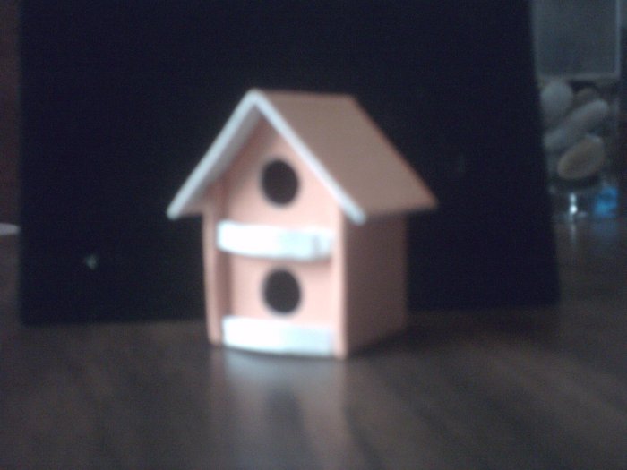 Peach Bird House.