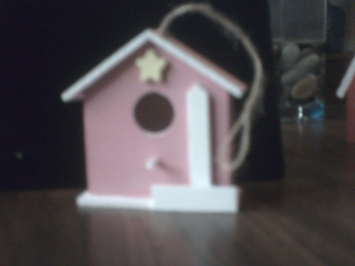 Pink Bird House.