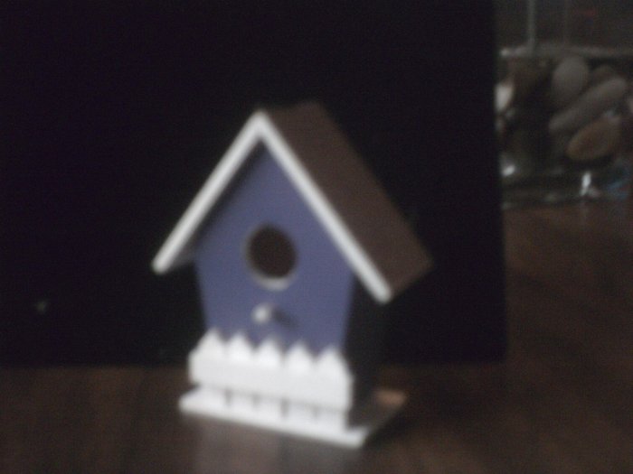 Purple Bird House.