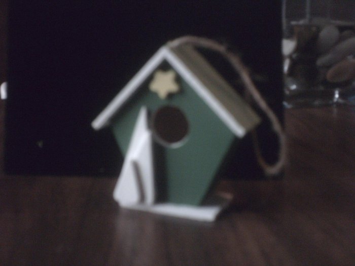 Green Bird House.