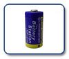 Small Fry Battery