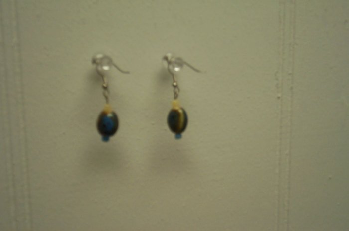 Pottery Bead Earrings