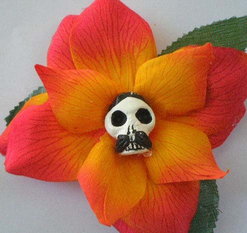 orange Pancho ROse
