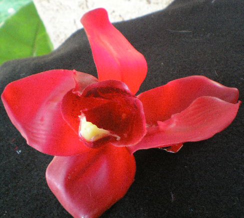 re Latex Orchid Hair Barrette