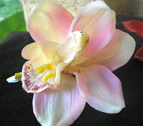 White-Pink Latex Orchid Hair Barrette