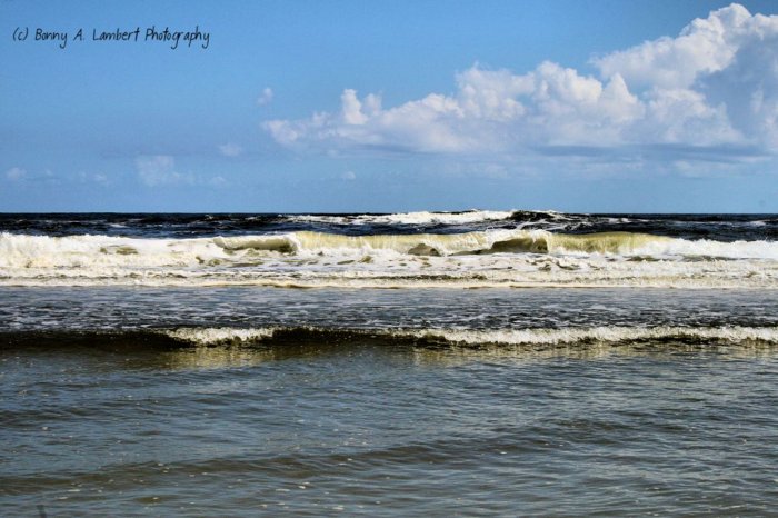 Florida Beach - Digital Art Print 8 x 10