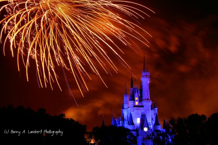 Disney Castle Fireworks - Digital Art Print 8 x 10