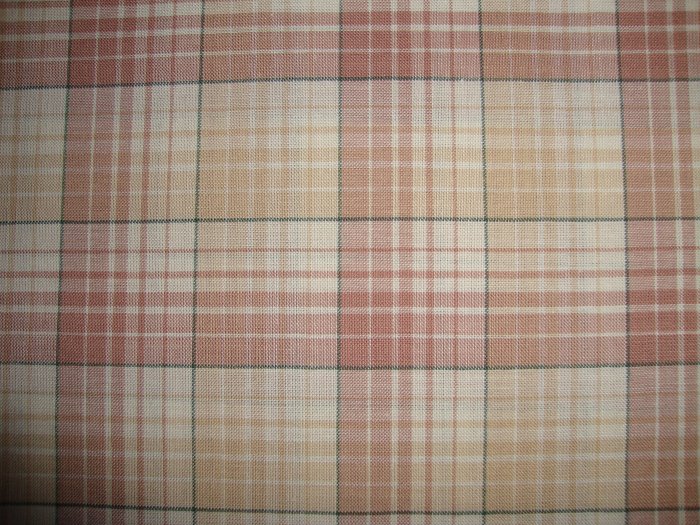 RJR Thimbleberries Daisy Days Tan Plaid Fabric by Lynette Jensen BTY By the Yard