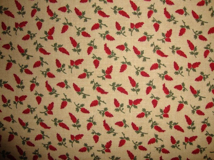 3.5 Yards Quilt Club Red Flowers on Tan RJR Thimbleberries Lynette Jensen Backing Fabric