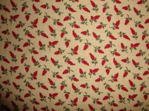 3.5 Yards Quilt Club Red Flowers on Tan RJR Thimbleberries Lynette Jensen Backing Fabric