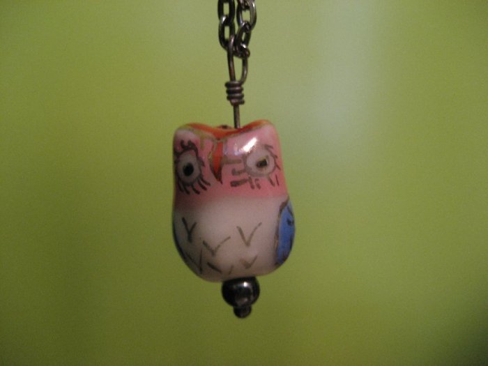 Long Lash Owl
