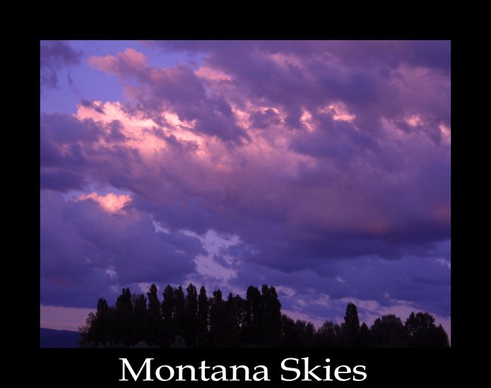 Montana Skies