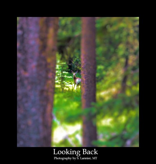 Looking Back