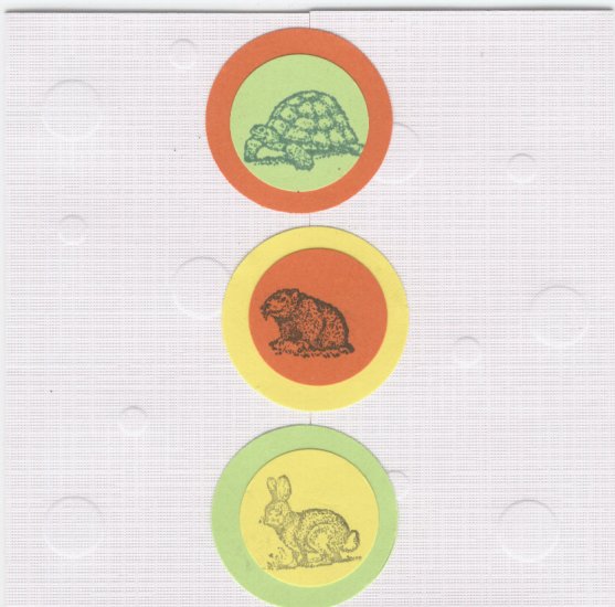 Animal Birthday
