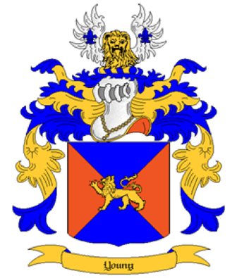 Young Coat of Arms in Cross Stitch