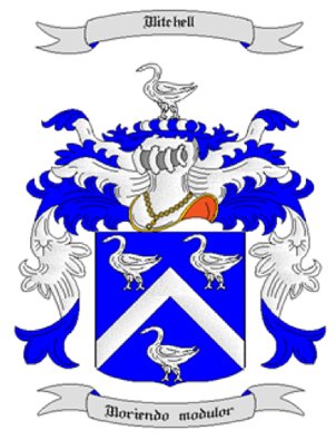 Mitchell Coat of Arms in Cross Stitch