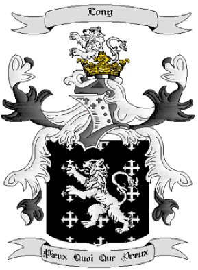 Long Coat of Arms in Cross Stitch
