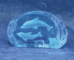 Newborn Dolphin Paperweight