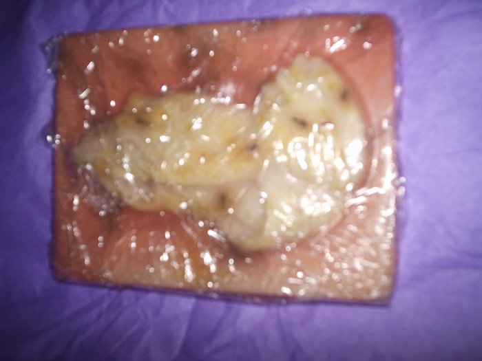 Praying Hands Bath Bar Soaps