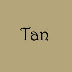 Medium Tan AF T-shirt