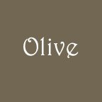 Small Olive AF T-shirt