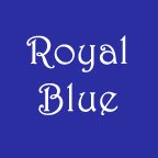 Youth Large Royal Blue AF T-shirt