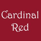 Youth Large Cardinal Red AF T-shirt