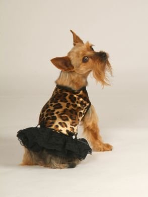 Leopard Print Tank Dress With Matching Hat/Collar XX Small Dog Dress