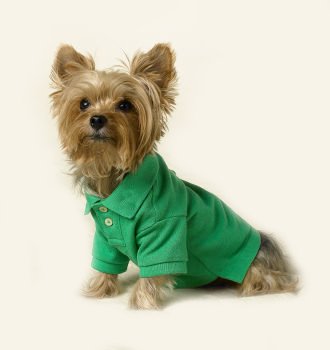 SALE Green Polo Sport Harness-T Sm Dog Shirt