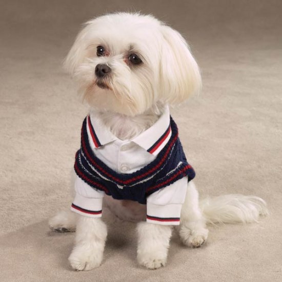 East Side Collection Cable Knit Twin Sets dog Shirt XSmall