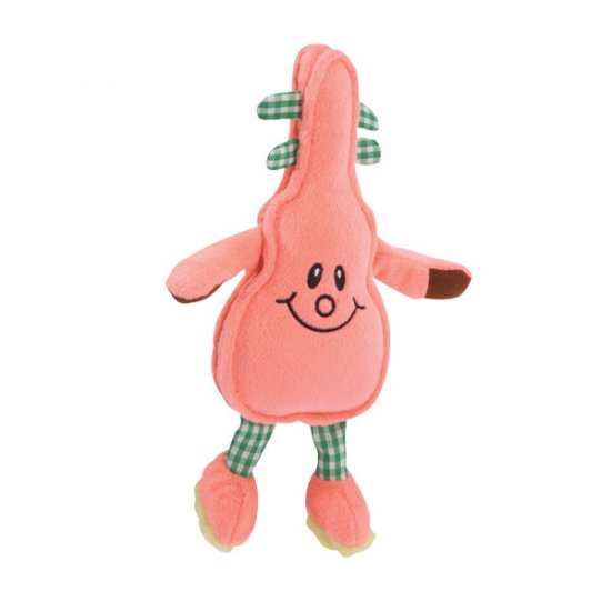 Zanies Acoustic Friends Dog Toy