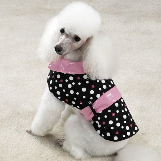 Sale East Side Collection Rain & Shine Dog Coats X Small